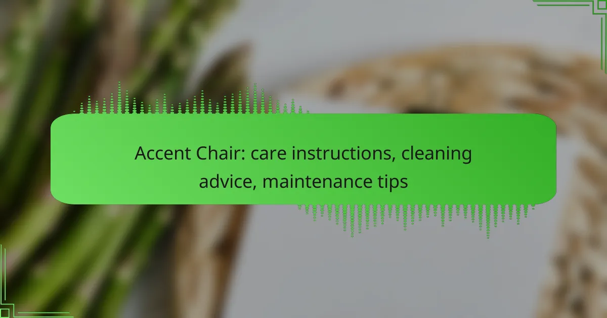 Accent Chair: care instructions, cleaning advice, maintenance tips