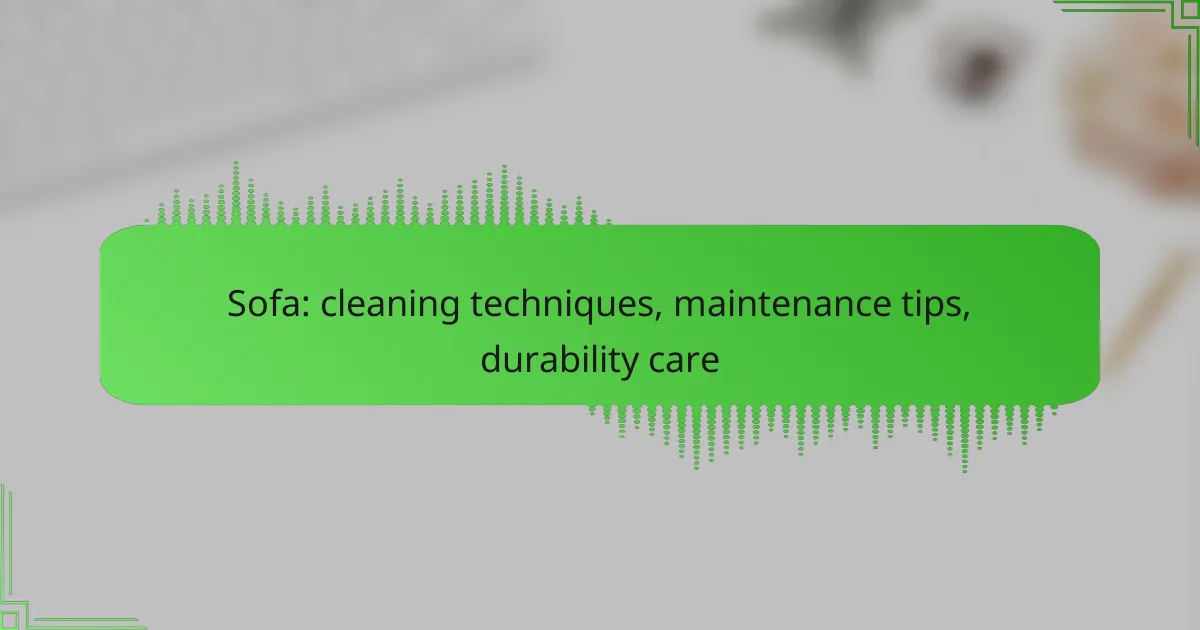 Sofa: cleaning techniques, maintenance tips, durability care